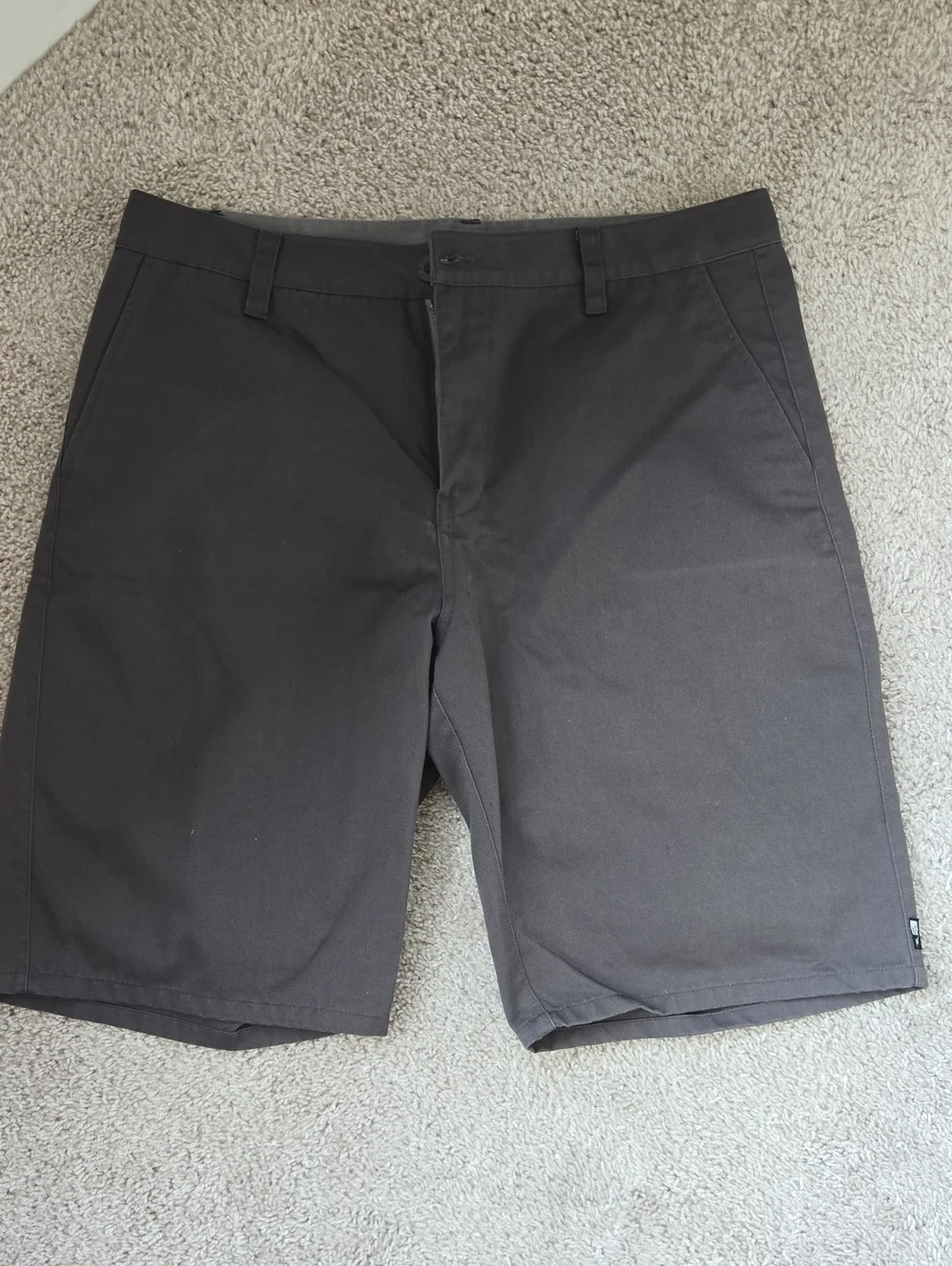 Rip Curl Men's Brown Flat Front Shorts